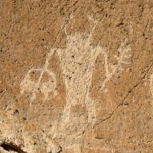 cover image of Navajo Indians